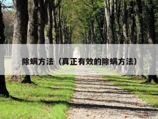 除螨方法（真正有效的除螨方法）