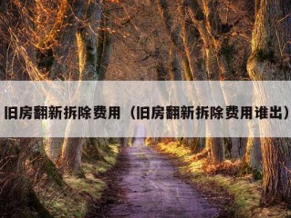 旧房翻新拆除费用（旧房翻新拆除费用谁出）