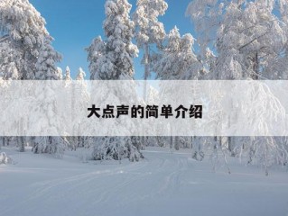 大点声的简单介绍