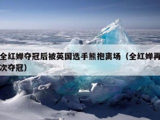 全红婵夺冠后被英国选手熊抱离场（全红婵再次夺冠）