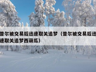 普尔被交易后迅速取关追梦（普尔被交易后迅速取关追梦西葫瓜）