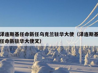 泽连斯基任命新任乌克兰驻华大使（泽连斯基任命新驻华大使叉）