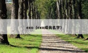 exo（exo成员名字）