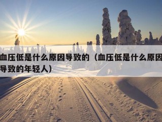 血压低是什么原因导致的（血压低是什么原因导致的年轻人）