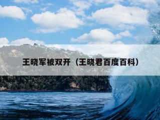 王晓军被双开（王晓君百度百科）