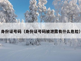 身份证号码（身份证号码被泄露有什么危险）