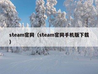 steam官网（steam官网手机版下载）