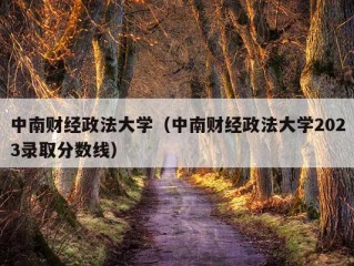 中南财经政法大学（中南财经政法大学2023录取分数线）