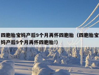 四胞胎宝妈产后9个月再怀四胞胎（四胞胎宝妈产后9个月再怀四胞胎!）