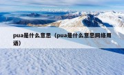 pua是什么意思（pua是什么意思网络用语）