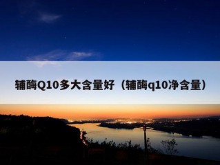 辅酶Q10多大含量好（辅酶q10净含量）