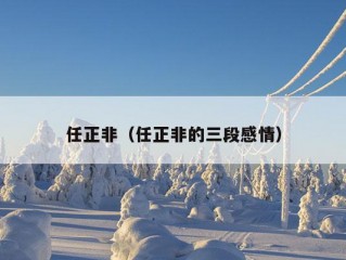 任正非（任正非的三段感情）