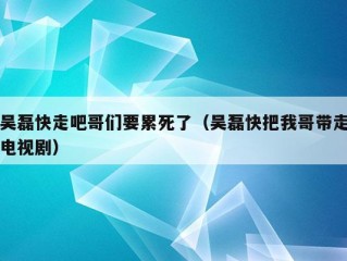 吴磊快走吧哥们要累死了（吴磊快把我哥带走电视剧）