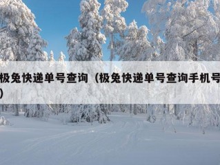 极兔快递单号查询（极兔快递单号查询手机号）