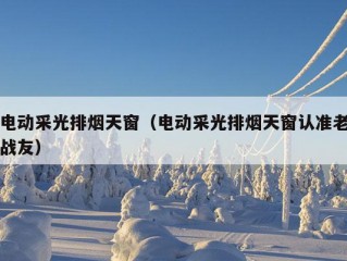 电动采光排烟天窗（电动采光排烟天窗认准老战友）