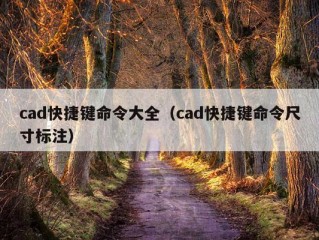 cad快捷键命令大全（cad快捷键命令尺寸标注）