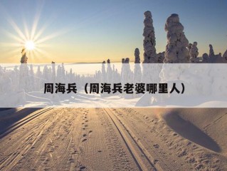 周海兵（周海兵老婆哪里人）