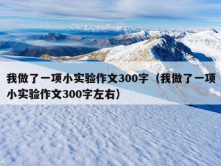 我做了一项小实验作文300字（我做了一项小实验作文300字左右）