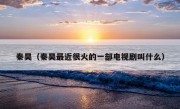 秦昊（秦昊最近很火的一部电视剧叫什么）