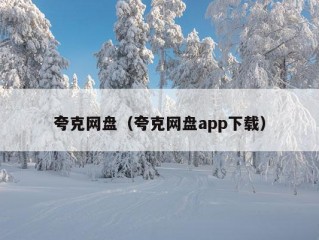 夸克网盘（夸克网盘app下载）