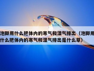 泡脚用什么把体内的寒气和湿气排出（泡脚用什么把体内的寒气和湿气排出是什么草）