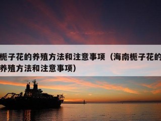 栀子花的养殖方法和注意事项（海南栀子花的养殖方法和注意事项）