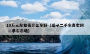 10万元左右买什么车好（瓜子二手车直卖网 二手车市场）