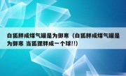 白狐胖成煤气罐是为御寒（白狐胖成煤气罐是为御寒 当狐狸胖成一个球!!）