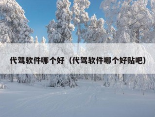 代驾软件哪个好（代驾软件哪个好贴吧）