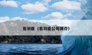 若羽臣（若羽臣公司简介）