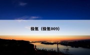 极氪（极氪009）