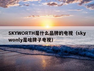 SKYWORTH是什么品牌的电视（skywonly是啥牌子电视）