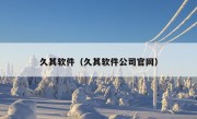 久其软件（久其软件公司官网）