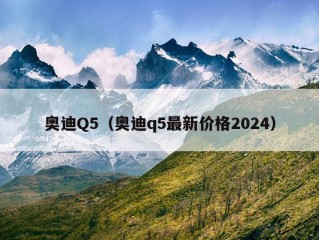 奥迪Q5（奥迪q5最新价格2024）