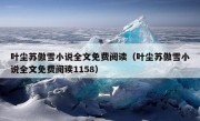 叶尘苏傲雪小说全文免费阅读（叶尘苏傲雪小说全文免费阅读1158）