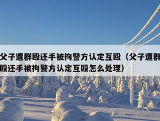 父子遭群殴还手被拘警方认定互殴（父子遭群殴还手被拘警方认定互殴怎么处理）