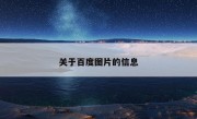 关于百度图片的信息