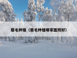 眉毛种植（眉毛种植哪家医院好）