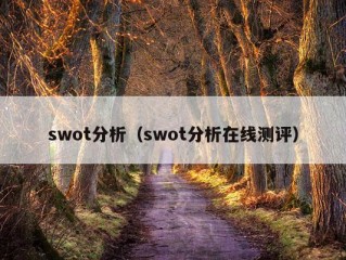 swot分析（swot分析在线测评）