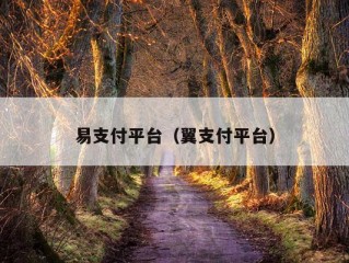 易支付平台（翼支付平台）