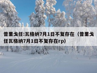 普里戈任:瓦格纳7月1日不复存在（普里戈任瓦格纳7月1日不复存在rp）