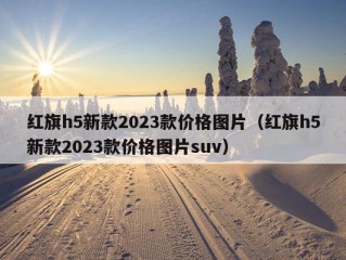 红旗h5新款2023款价格图片（红旗h5新款2023款价格图片suv）