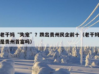 老干妈“失宠”？跌出贵州民企前十（老干妈是贵州首富吗）