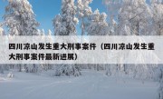 四川凉山发生重大刑事案件（四川凉山发生重大刑事案件最新进展）