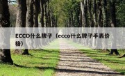 ECCO什么牌子（ecco什么牌子手表价格）