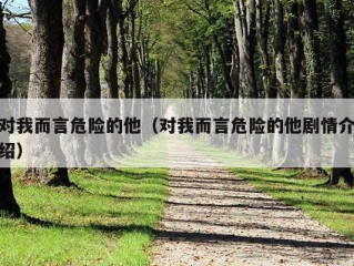 对我而言危险的他（对我而言危险的他剧情介绍）