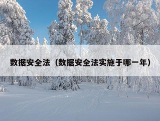 数据安全法（数据安全法实施于哪一年）