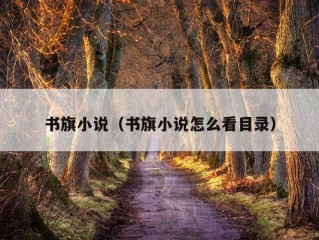 书旗小说（书旗小说怎么看目录）