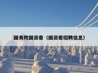 国务院国资委（国资委招聘信息）