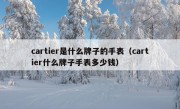 cartier是什么牌子的手表（cartier什么牌子手表多少钱）